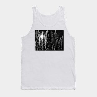 Pampas Grass with Back Light Tank Top